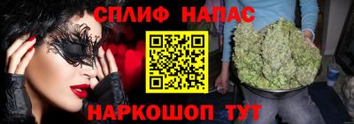 прущие грибы Сланцы