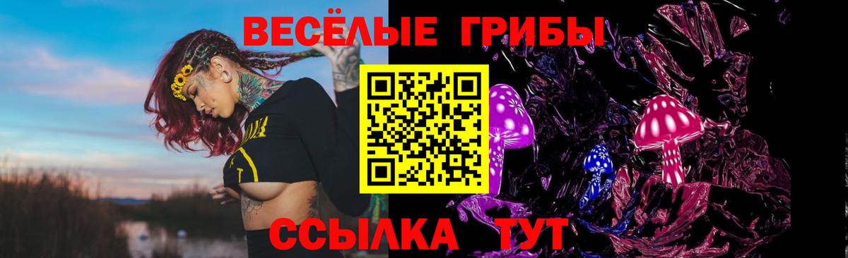 Псилоцибиновые грибы Psilocybe  Галлюциногенные грибы MAGIC MUSHROOMS  Вход с VPN  Острогожск 